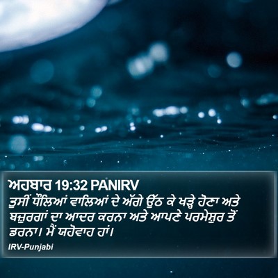 ਅਹਬਾਰ 19:32 PANIRV Bible Verse Image