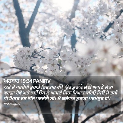 ਅਹਬਾਰ 19:34 PANIRV Bible Verse Image