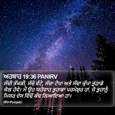 ਅਹਬਾਰ 19:36 PANIRV Bible Verse Image