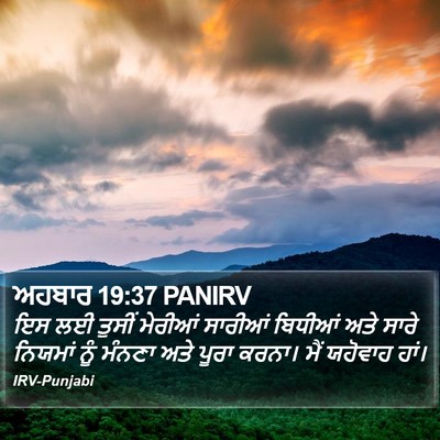 ਅਹਬਾਰ 19:37 PANIRV Bible Verse Image