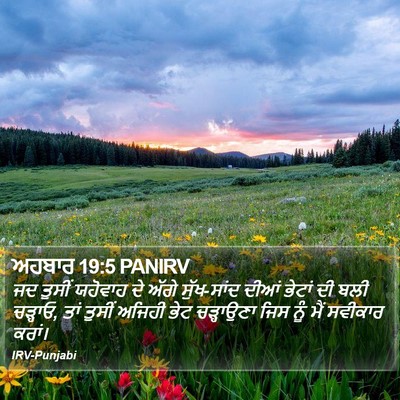 ਅਹਬਾਰ 19:5 PANIRV Bible Verse Image