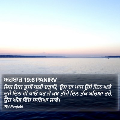 ਅਹਬਾਰ 19:6 PANIRV Bible Verse Image