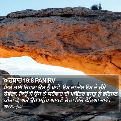 ਅਹਬਾਰ 19:8 PANIRV Bible Verse Image