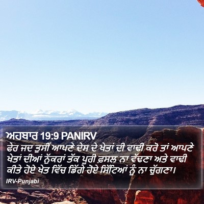 ਅਹਬਾਰ 19:9 PANIRV Bible Verse Image