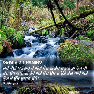 ਅਹਬਾਰ 2:1 PANIRV Bible Verse Image