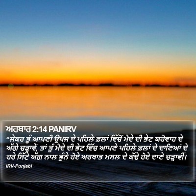 ਅਹਬਾਰ 2:14 PANIRV Bible Verse Image
