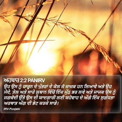 ਅਹਬਾਰ 2:2 PANIRV Bible Verse Image
