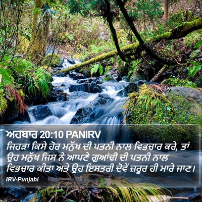ਅਹਬਾਰ 20:10 PANIRV Bible Verse Image