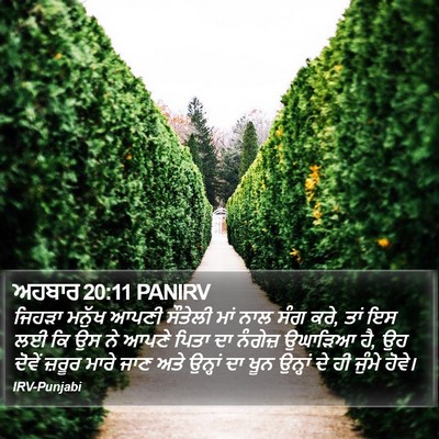ਅਹਬਾਰ 20:11 PANIRV Bible Verse Image