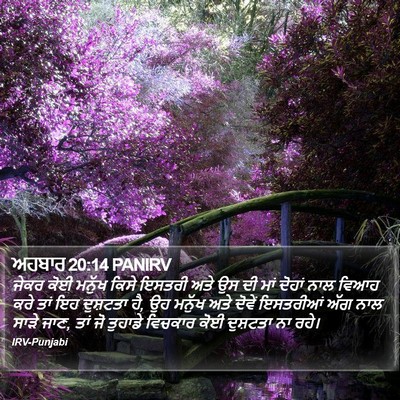 ਅਹਬਾਰ 20:14 PANIRV Bible Verse Image
