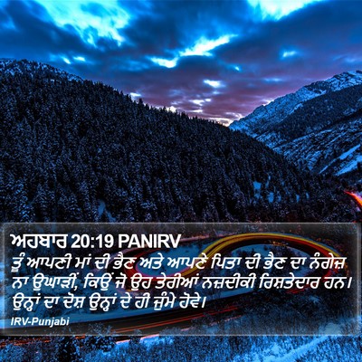ਅਹਬਾਰ 20:19 PANIRV Bible Verse Image