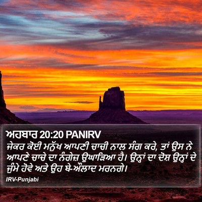 ਅਹਬਾਰ 20:20 PANIRV Bible Verse Image