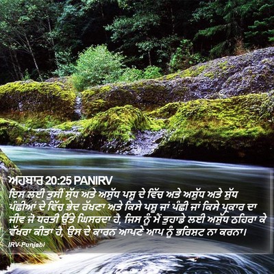 ਅਹਬਾਰ 20:25 PANIRV Bible Verse Image