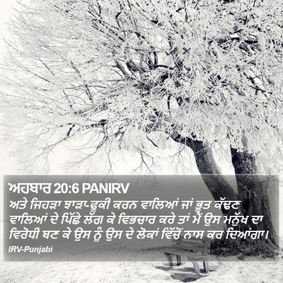 ਅਹਬਾਰ 20:6 PANIRV Bible Verse Image