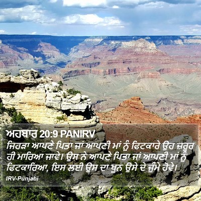 ਅਹਬਾਰ 20:9 PANIRV Bible Verse Image