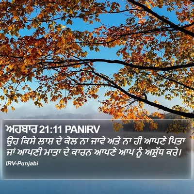 ਅਹਬਾਰ 21:11 PANIRV Bible Verse Image