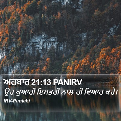ਅਹਬਾਰ 21:13 PANIRV Bible Verse Image