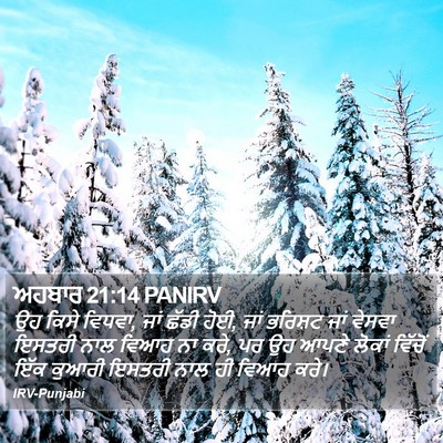 ਅਹਬਾਰ 21:14 PANIRV Bible Verse Image