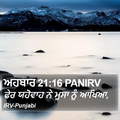 ਅਹਬਾਰ 21:16 PANIRV Bible Verse Image