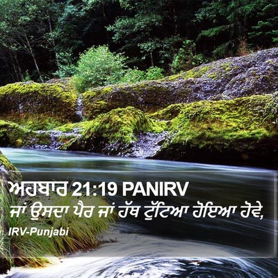 ਅਹਬਾਰ 21:19 PANIRV Bible Verse Image