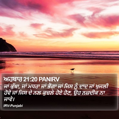 ਅਹਬਾਰ 21:20 PANIRV Bible Verse Image