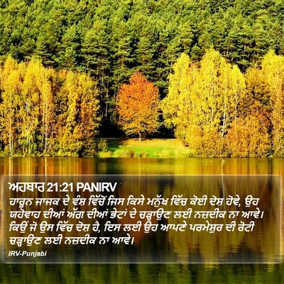 ਅਹਬਾਰ 21:21 PANIRV Bible Verse Image