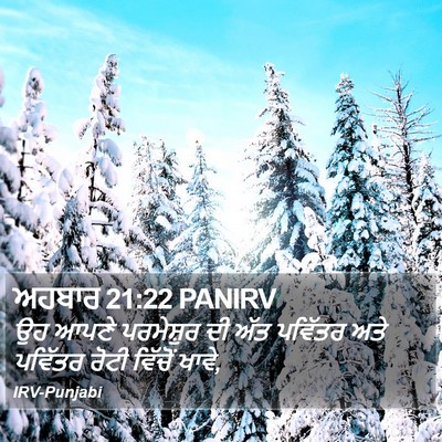 ਅਹਬਾਰ 21:22 PANIRV Bible Verse Image