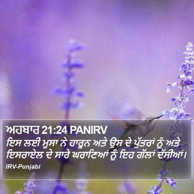 ਅਹਬਾਰ 21:24 PANIRV Bible Verse Image