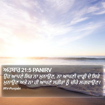 ਅਹਬਾਰ 21:5 PANIRV Bible Verse Image