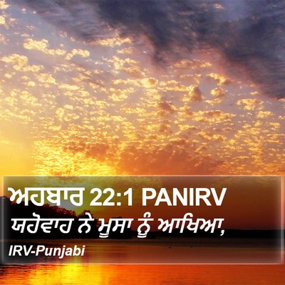 ਅਹਬਾਰ 22:1 PANIRV Bible Verse Image