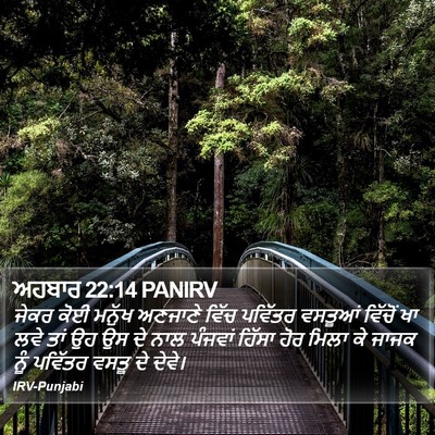 ਅਹਬਾਰ 22:14 PANIRV Bible Verse Image