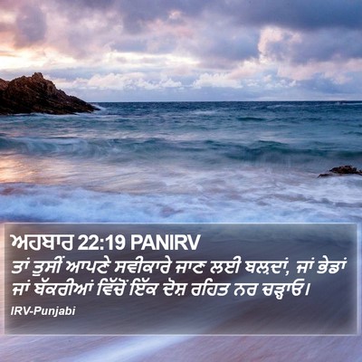 ਅਹਬਾਰ 22:19 PANIRV Bible Verse Image