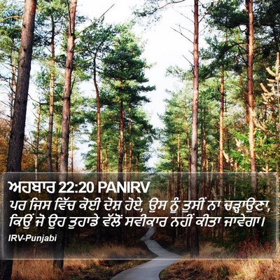 ਅਹਬਾਰ 22:20 PANIRV Bible Verse Image