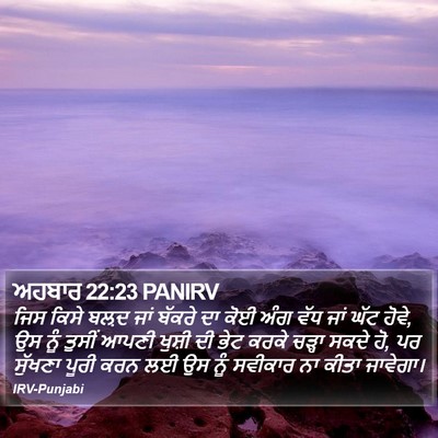 ਅਹਬਾਰ 22:23 PANIRV Bible Verse Image