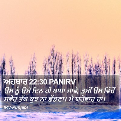 ਅਹਬਾਰ 22:30 PANIRV Bible Verse Image