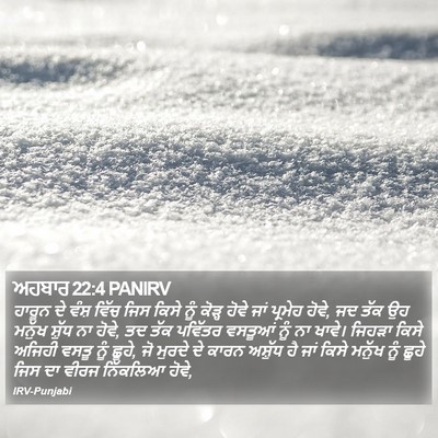 ਅਹਬਾਰ 22:4 PANIRV Bible Verse Image