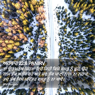 ਅਹਬਾਰ 22:6 PANIRV Bible Verse Image