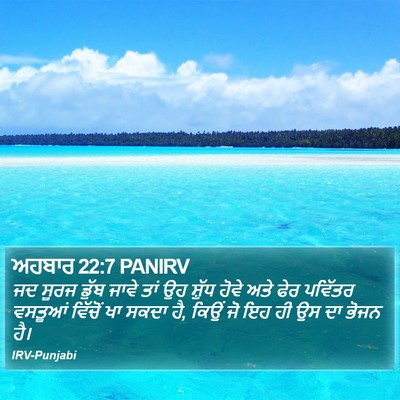 ਅਹਬਾਰ 22:7 PANIRV Bible Verse Image
