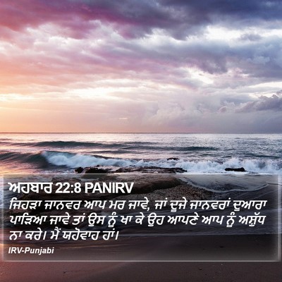 ਅਹਬਾਰ 22:8 PANIRV Bible Verse Image