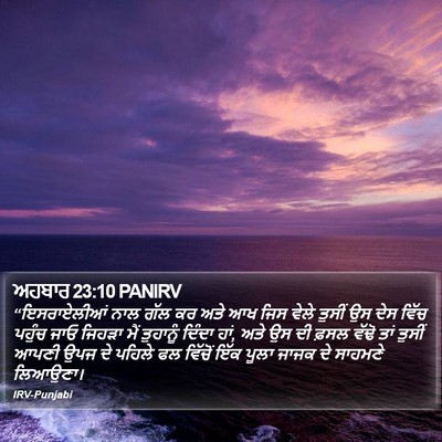 ਅਹਬਾਰ 23:10 PANIRV Bible Verse Image