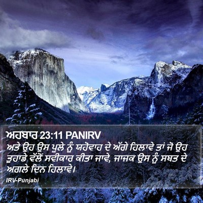 ਅਹਬਾਰ 23:11 PANIRV Bible Verse Image