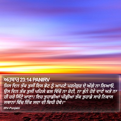 ਅਹਬਾਰ 23:14 PANIRV Bible Verse Image