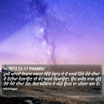 ਅਹਬਾਰ 23:17 PANIRV Bible Verse Image