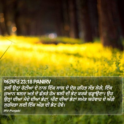 ਅਹਬਾਰ 23:18 PANIRV Bible Verse Image