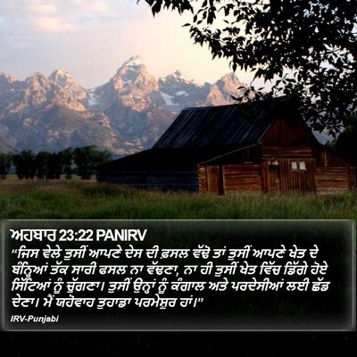 ਅਹਬਾਰ 23:22 PANIRV Bible Verse Image