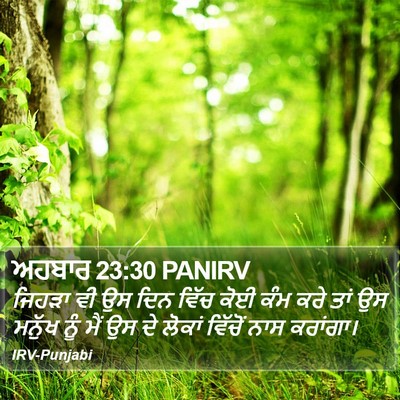 ਅਹਬਾਰ 23:30 PANIRV Bible Verse Image