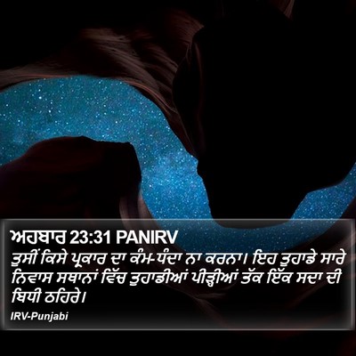 ਅਹਬਾਰ 23:31 PANIRV Bible Verse Image