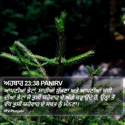 ਅਹਬਾਰ 23:38 PANIRV Bible Verse Image