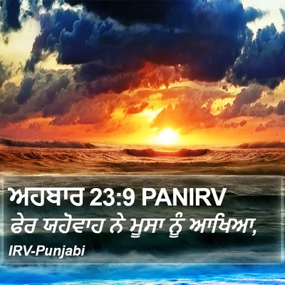 ਅਹਬਾਰ 23:9 PANIRV Bible Verse Image