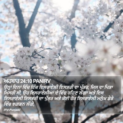 ਅਹਬਾਰ 24:10 PANIRV Bible Verse Image